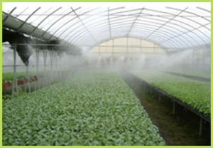 GREEN HOUSE HIGH PRESSURE MISTING