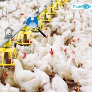 poultry misting system manufacturer supplier india