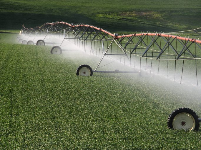 Commercial Agriculture