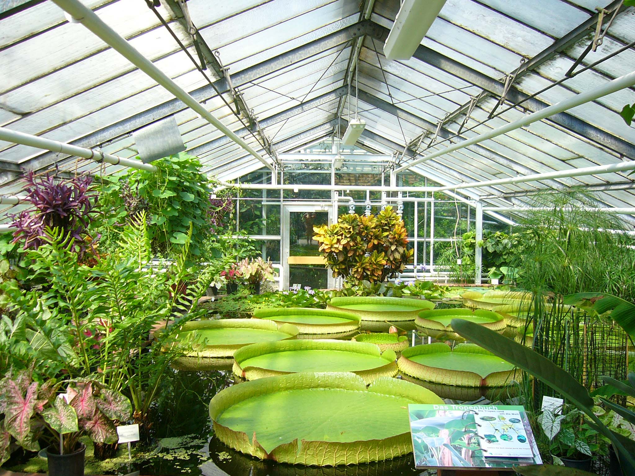 Greenhouses