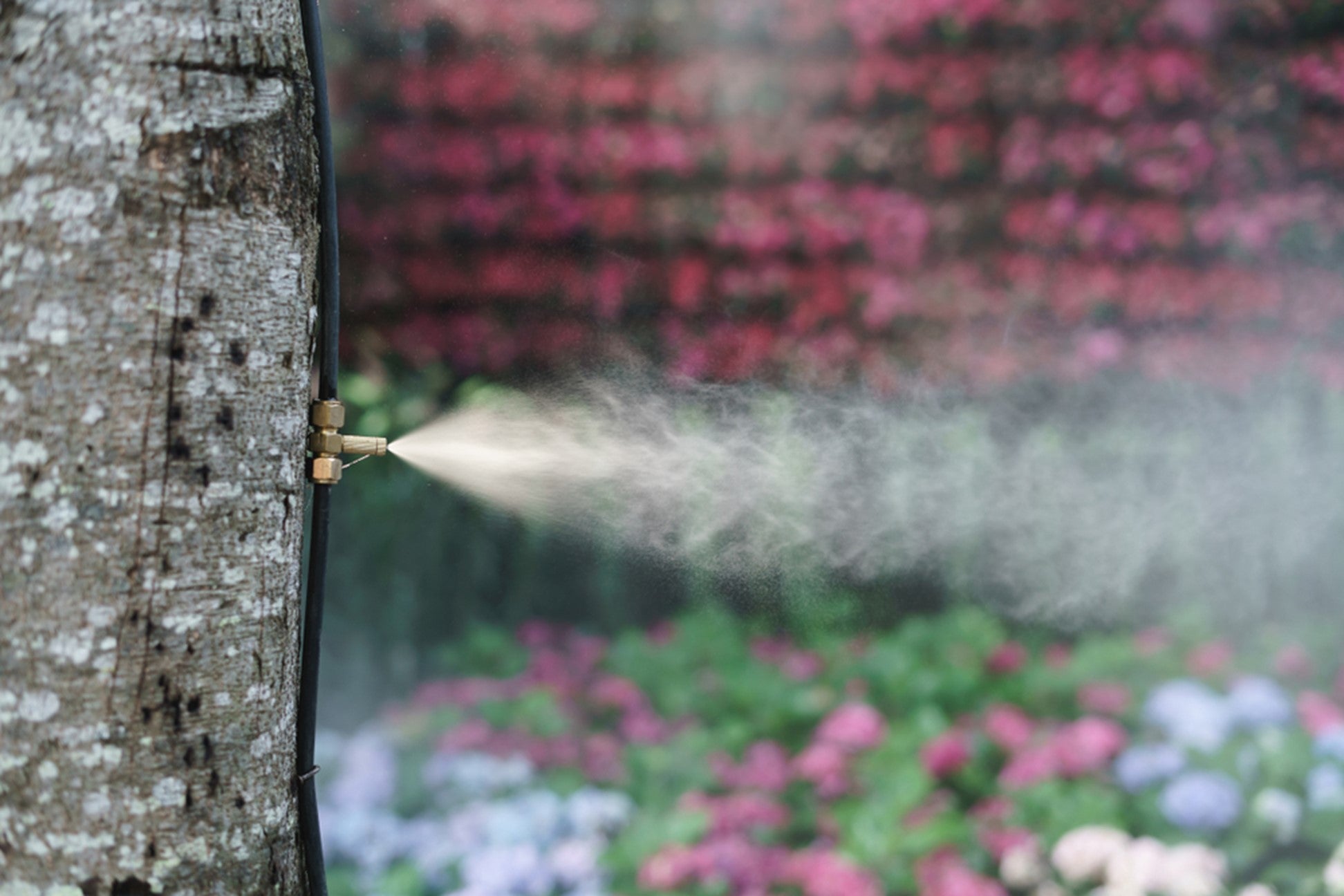 Maintenance & Hygiene Protocols