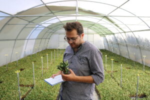 Nurseries & Propagation