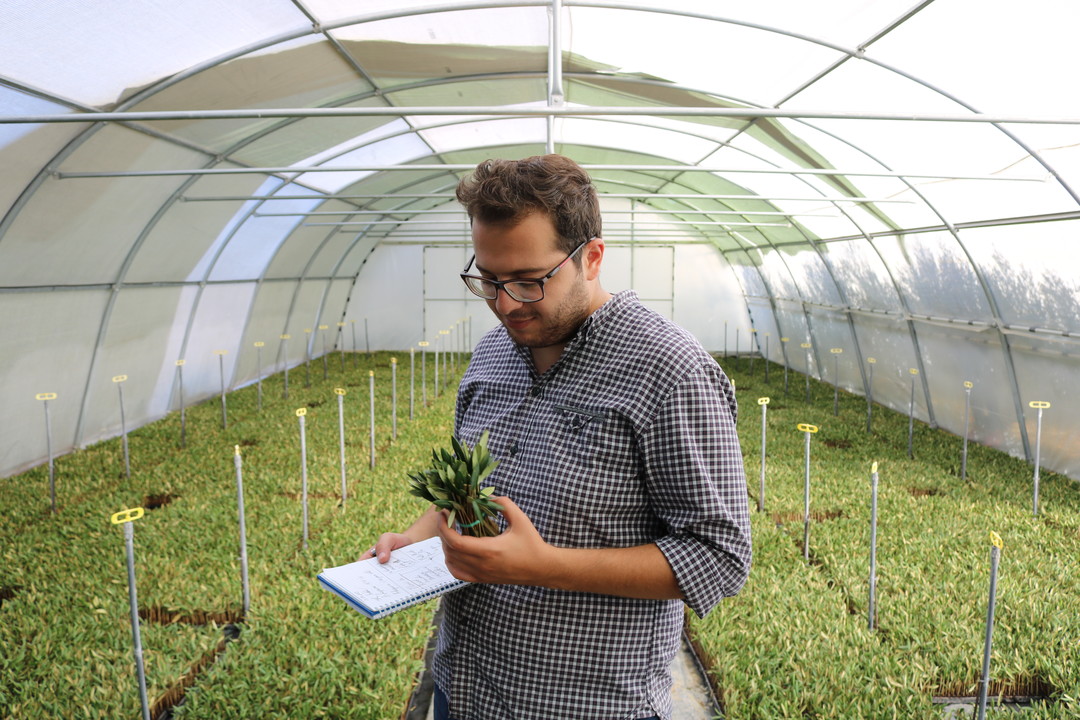 Nurseries & Propagation