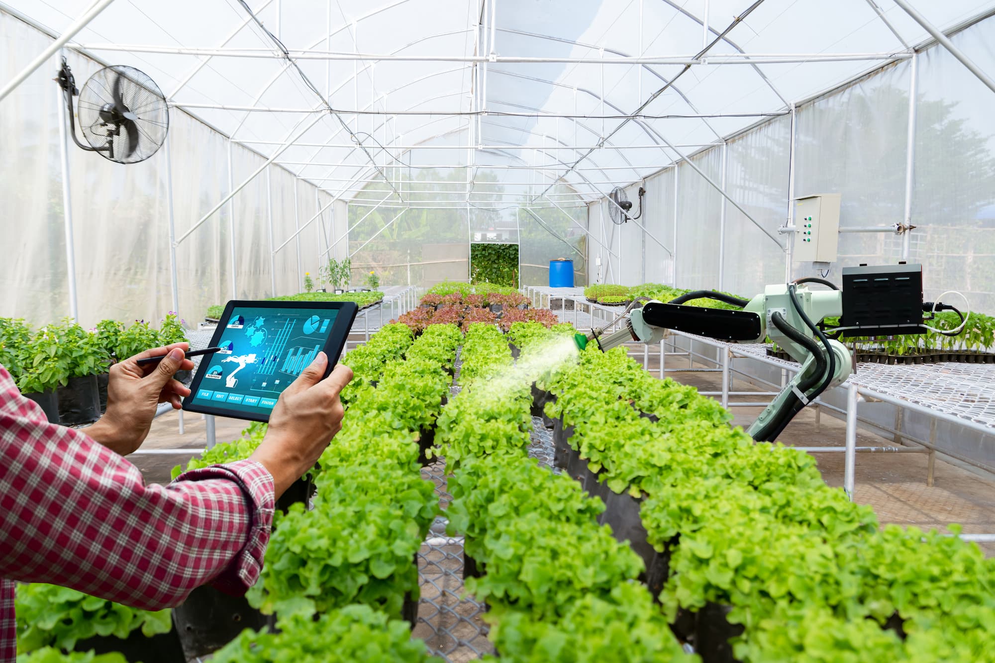Smart Greenhouses