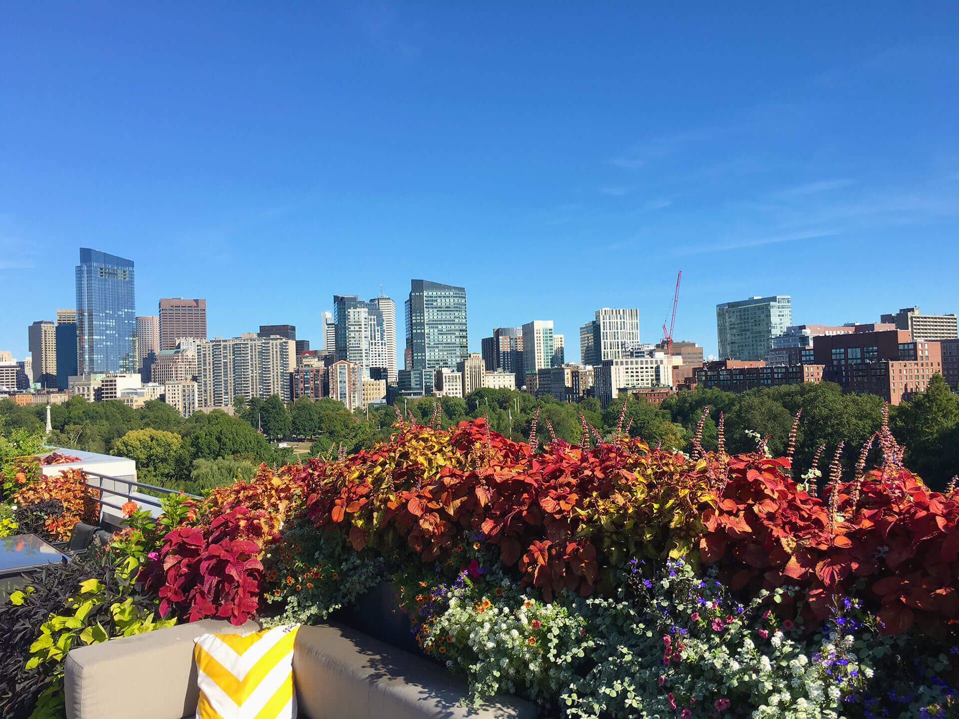 Urban Landscaping